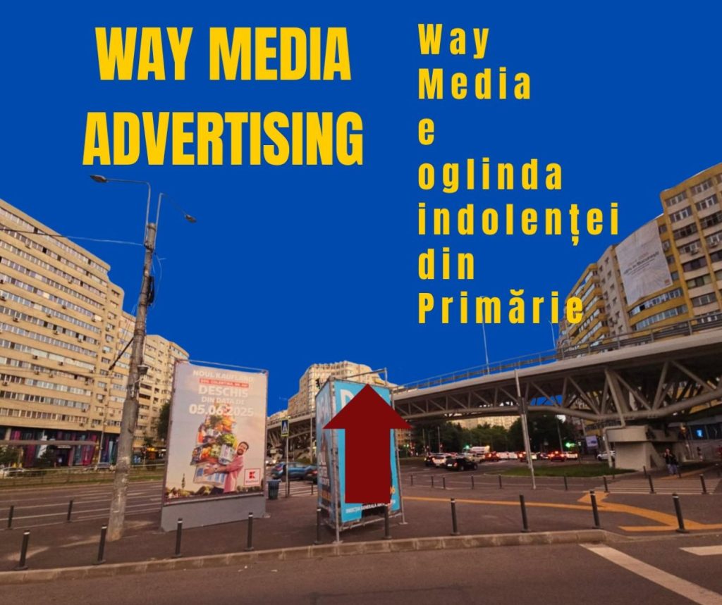 Way Advertise Production SRL: Antoanela Vasilescu și controversele din publicitatea outdoor în 2025